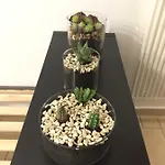 Apartmán Casa Maria Carmela *