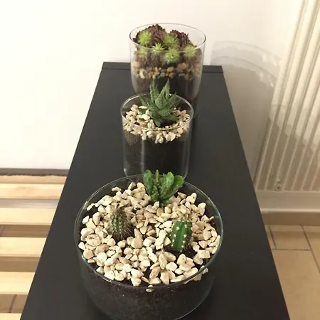 Apartamento Casa Maria Carmela *